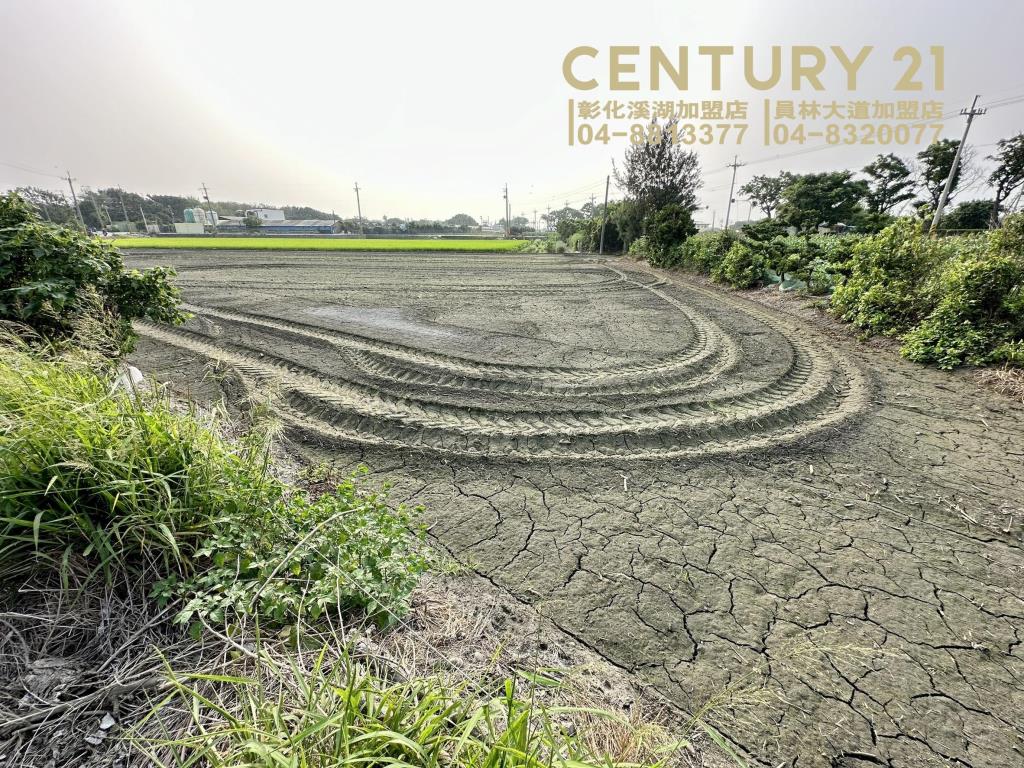 芳苑正二溪路雙面角田