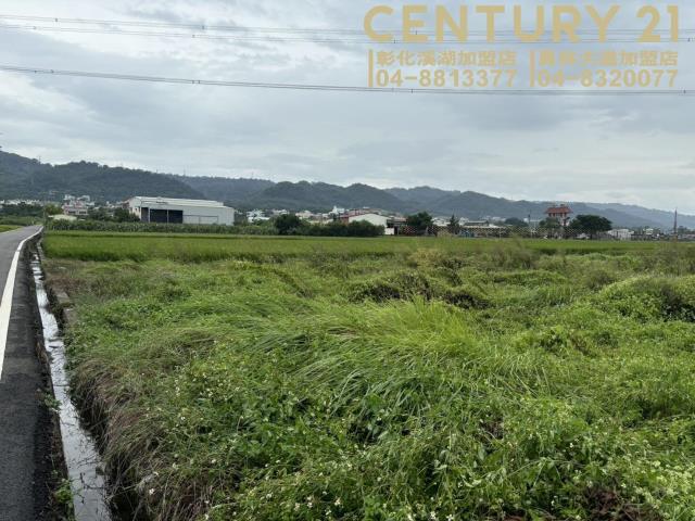 社頭近市區優質農保田