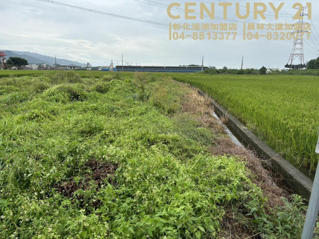 社頭近市區優質農保田