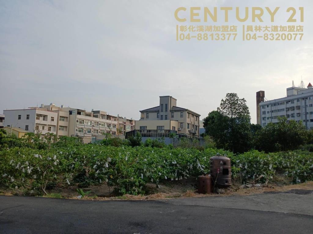 湖東國小旁建地