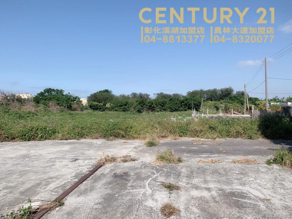 芳苑草崙路建+田