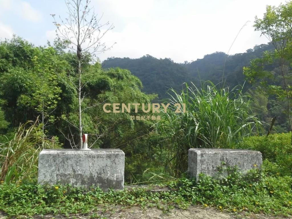 台中土地-霧峰象鼻路1.8甲農地