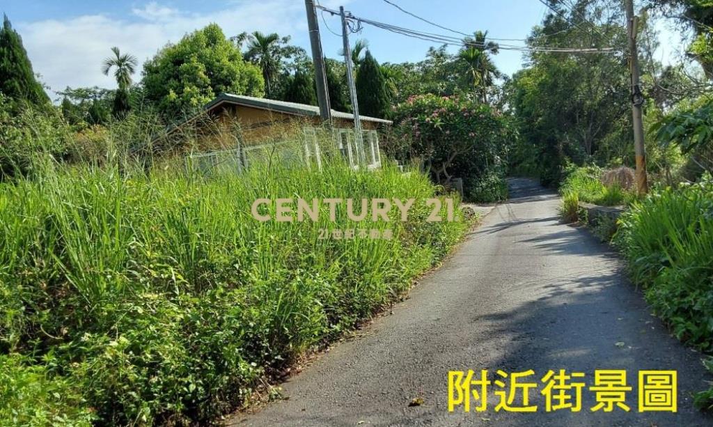 草屯土地-草屯坪頂一般農田846坪