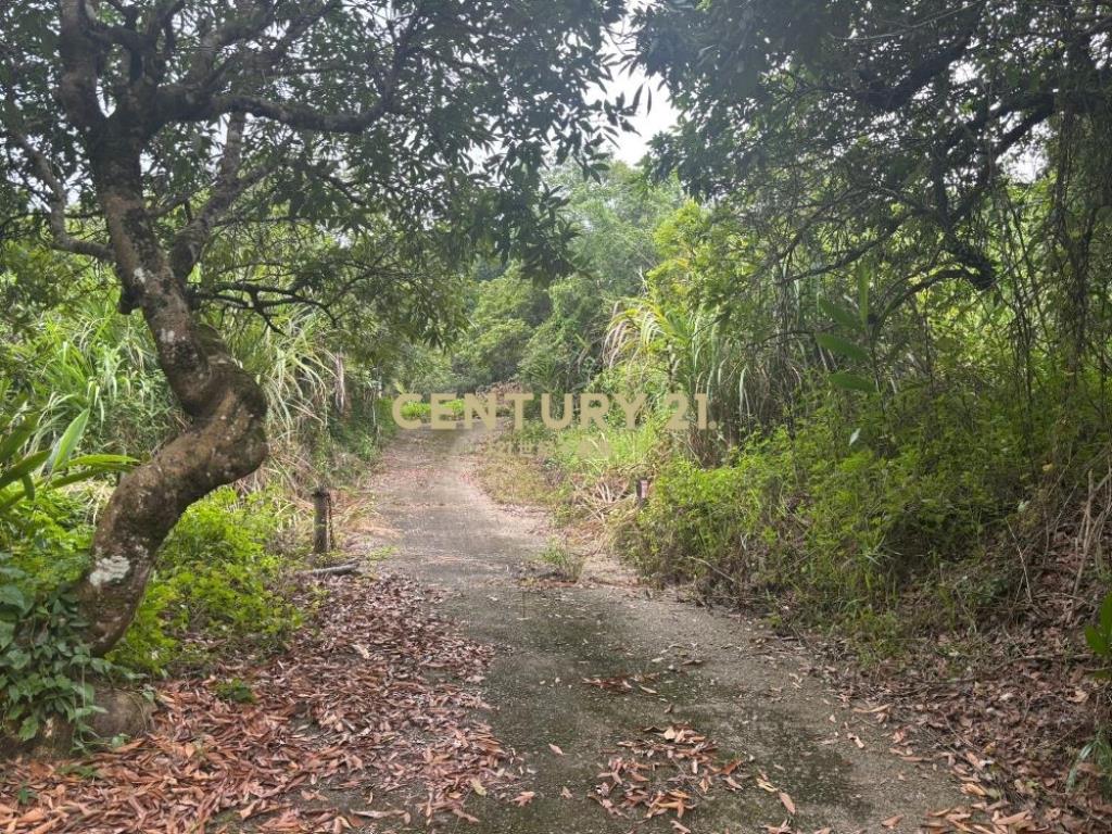 台中土地-霧峰可農保山坡森林農地