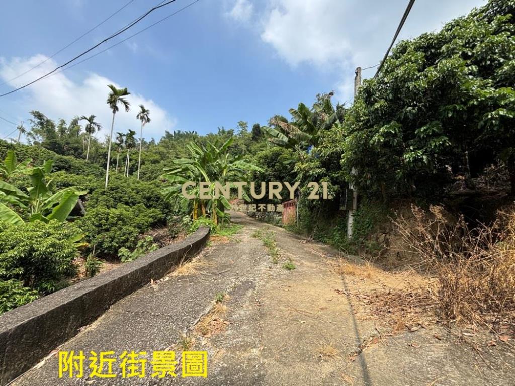 台中土地-霧峰可農保山坡森林農地