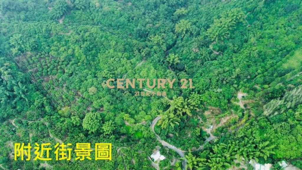 台中土地-霧峰可農保山坡森林農地