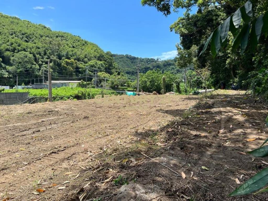 新社區泉福餐廳旁農牧用地