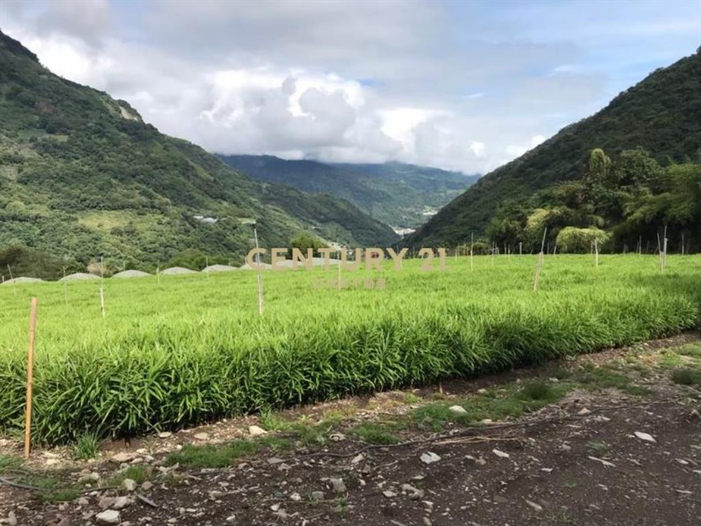 東埔溫泉休閒景觀地