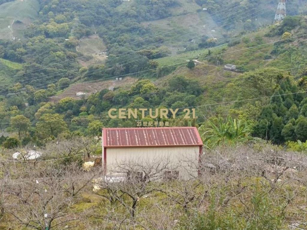 東勢景觀甜柿園3千坪農牧用地