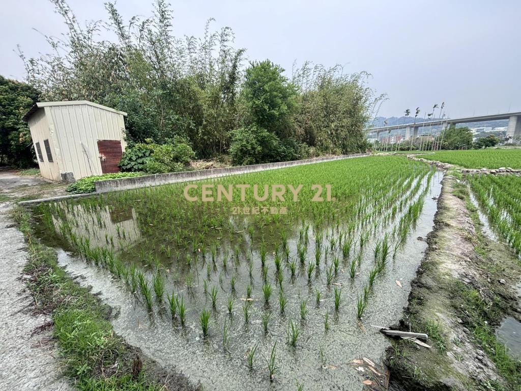 國道四號節稅行情農地