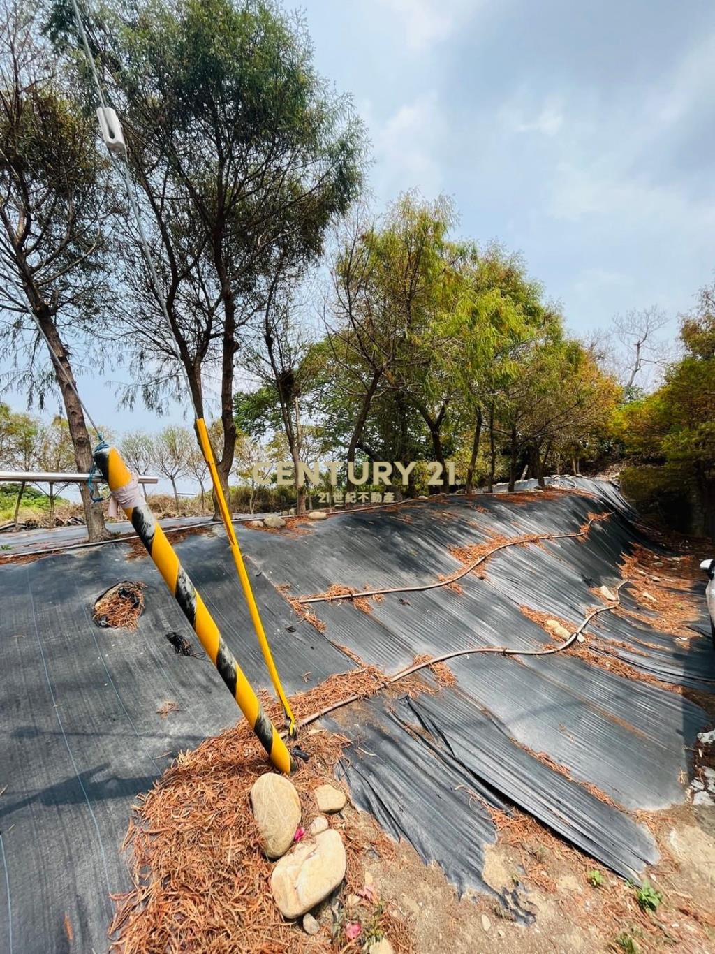 社頭清興路旁甲建