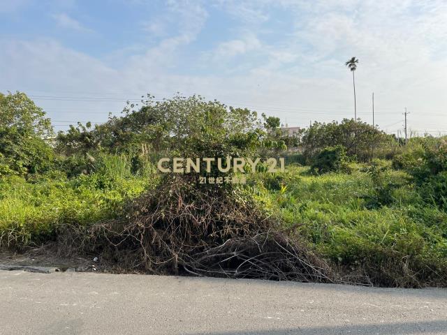 員林近東彰北路美田
