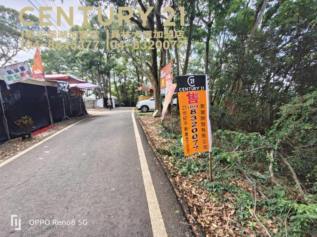 員林藤山步道大面寬林地