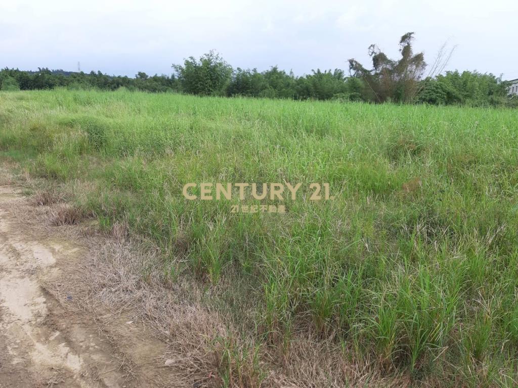 關廟近高鐵區1.2甲農地