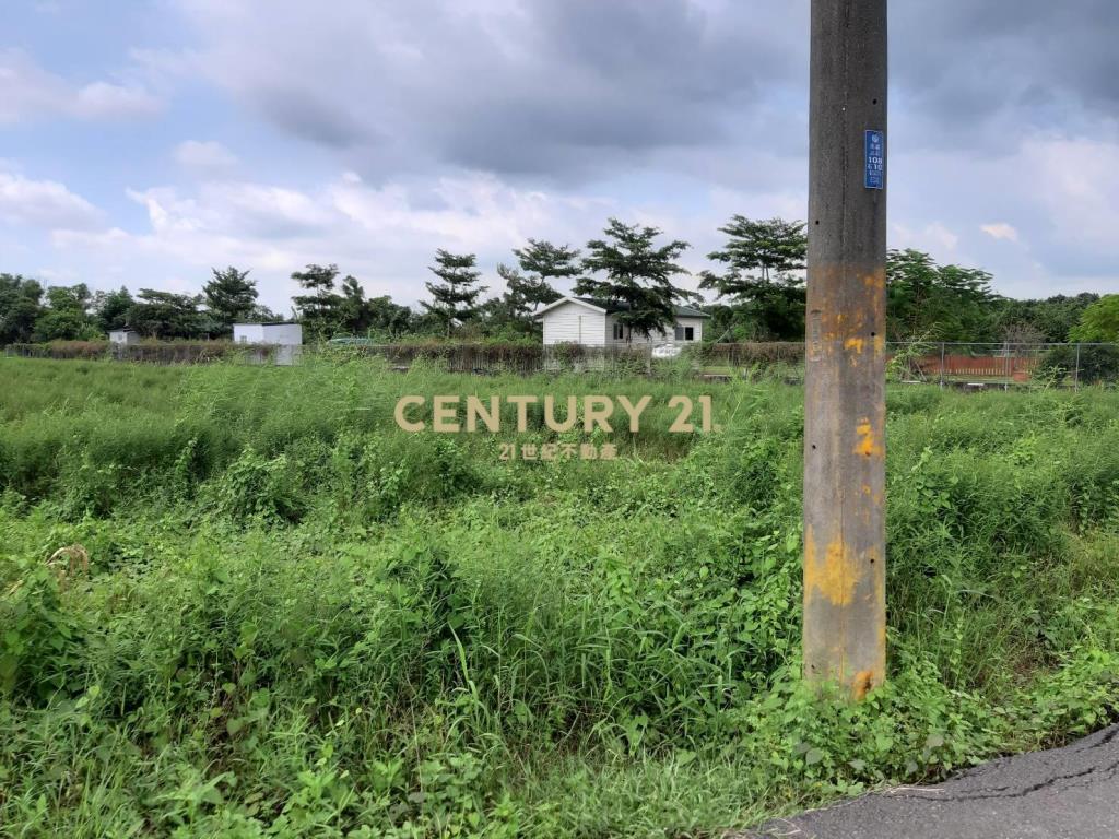 關廟近高鐵區1.2甲農地