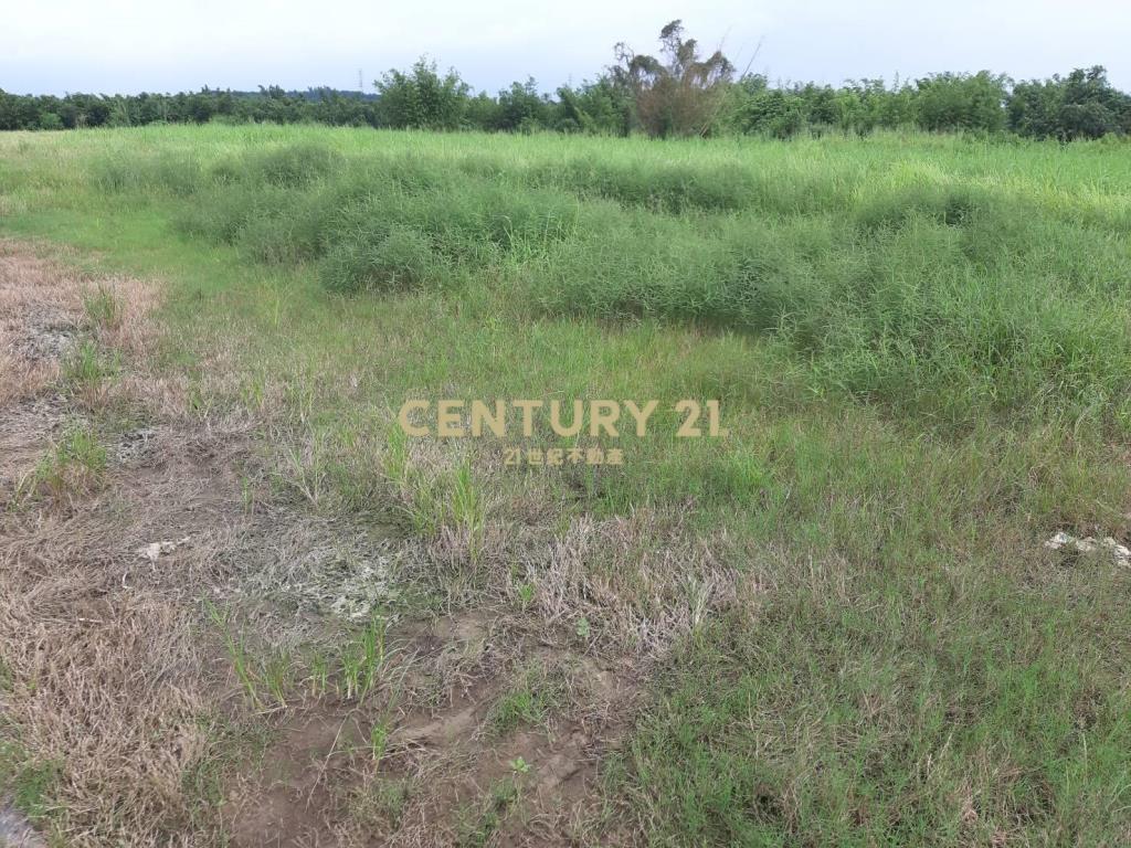 關廟近高鐵區1.2甲農地