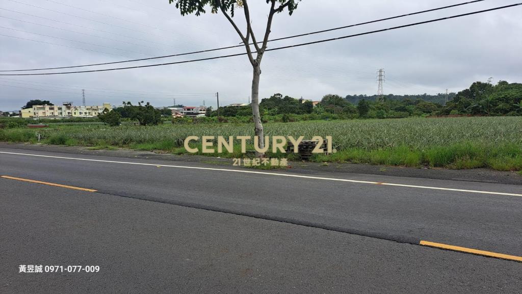 山上大馬路農地