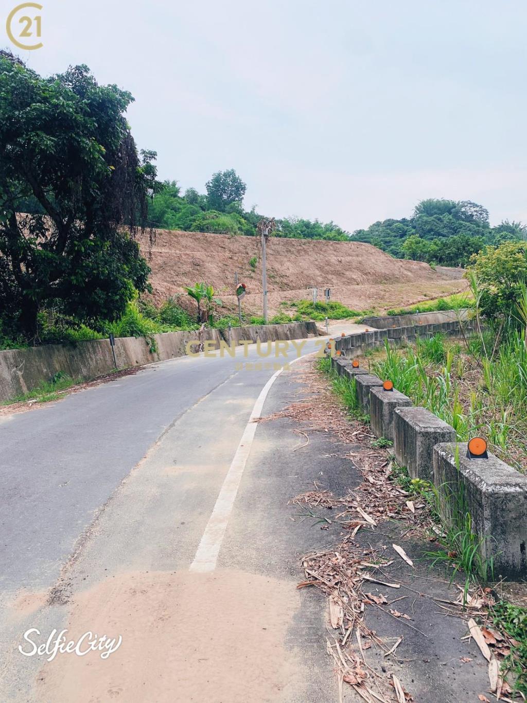 新化大馬路旁休閒農地