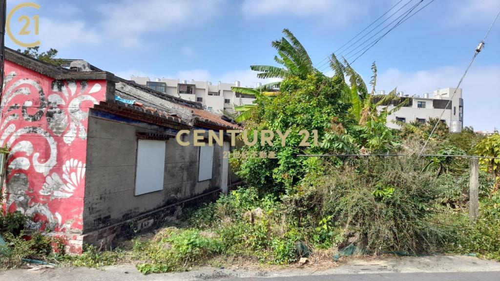 南科彩繪村80坪超級建地