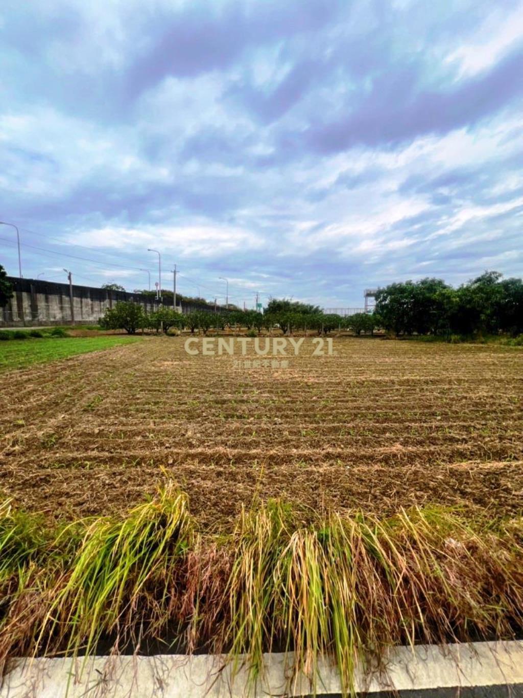 麻豆新樓醫院旁都內農地(2)