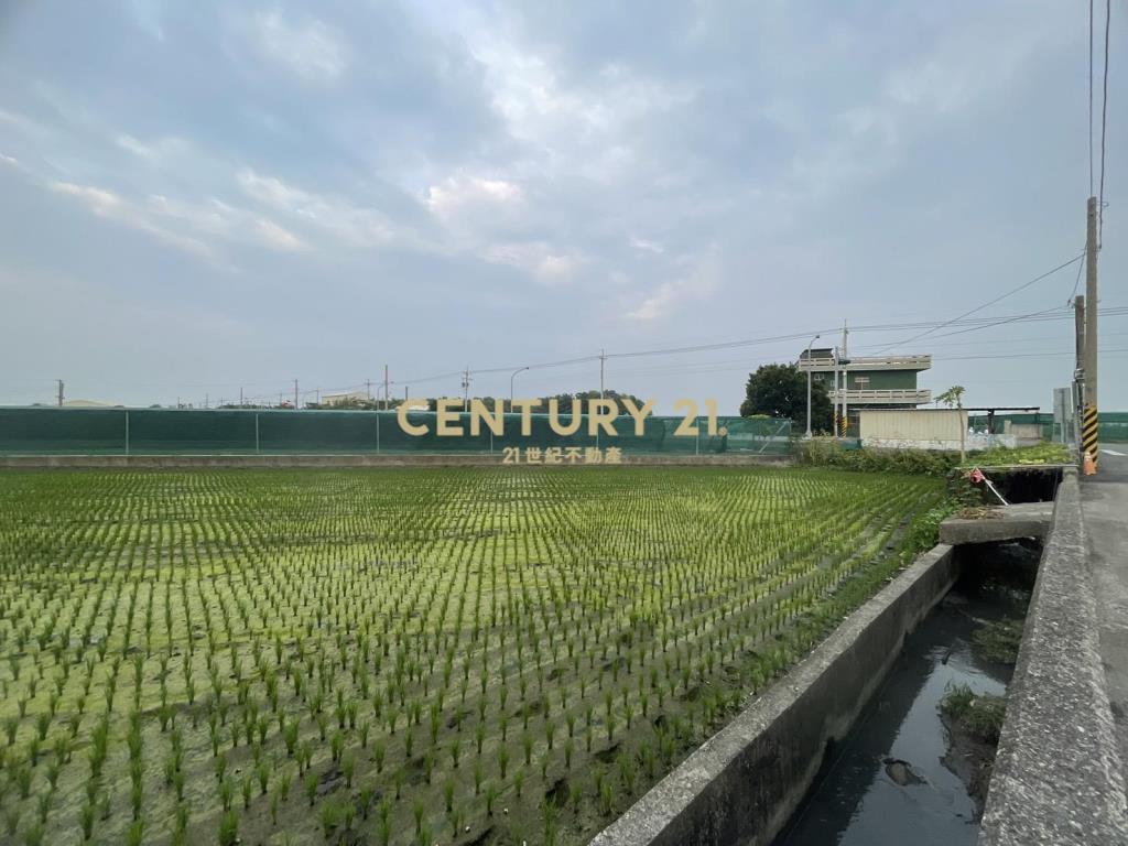 西螺下湳雙面路農地