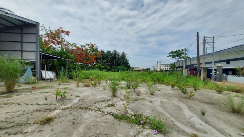 仁德奇美博物館百坪開心農場