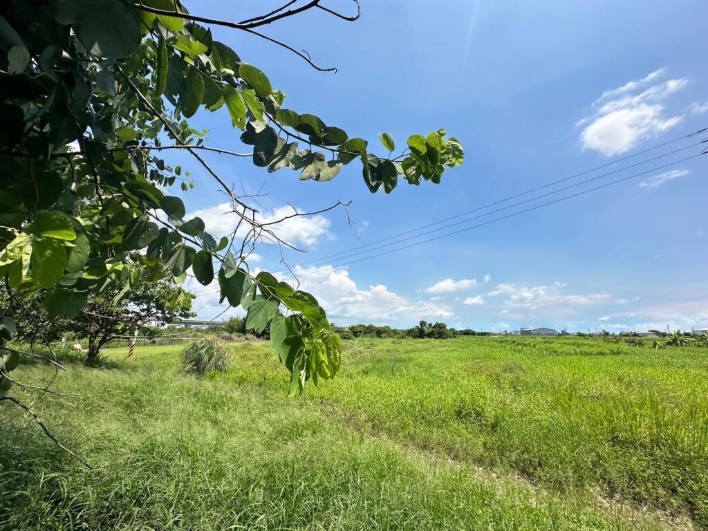 永康西勢4.7分美農地(有資材室)