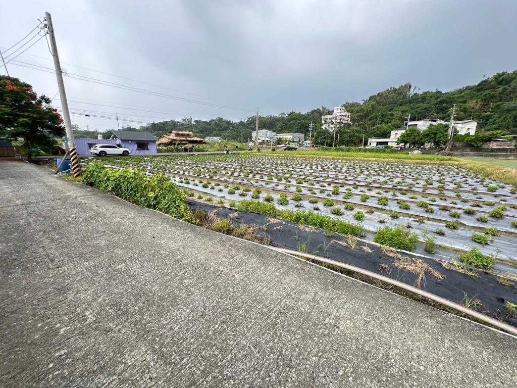 水上成功國小2.5分漂亮農地