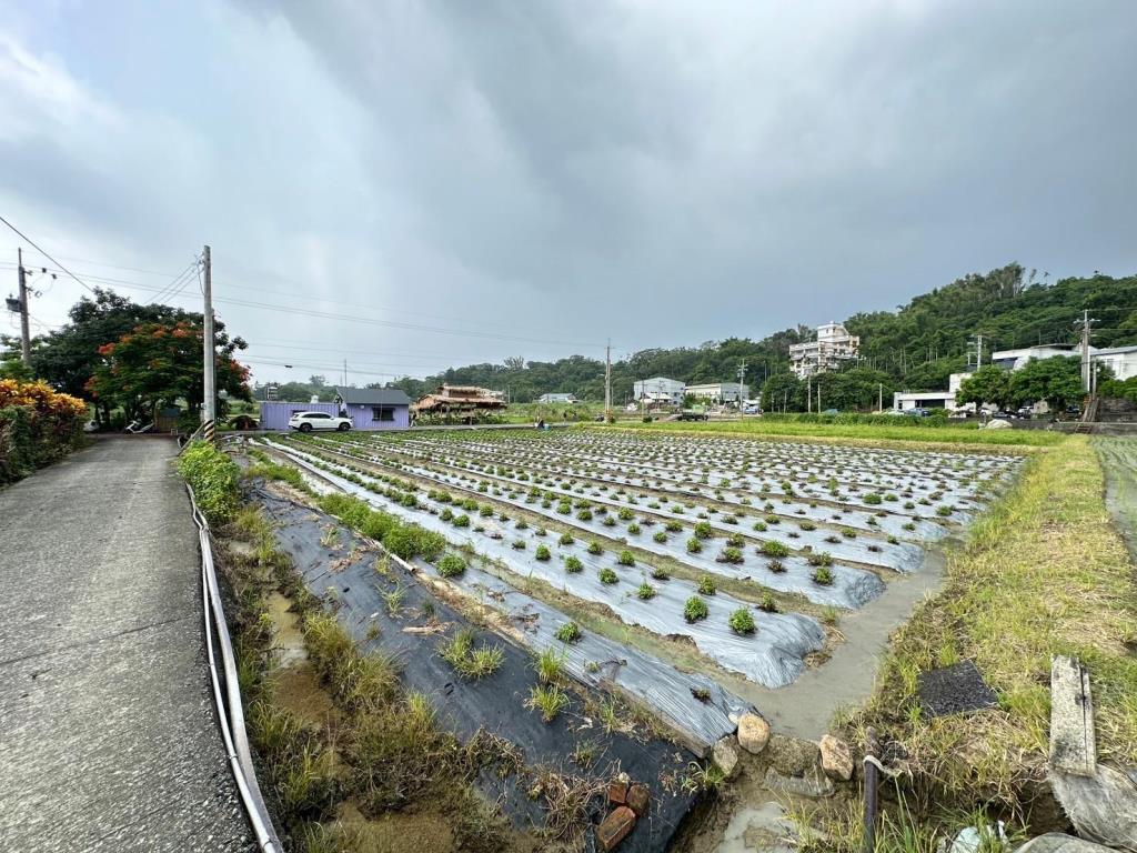 水上成功國小2.5分漂亮農地