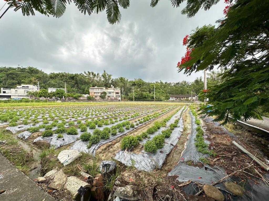 水上成功國小2.5分漂亮農地