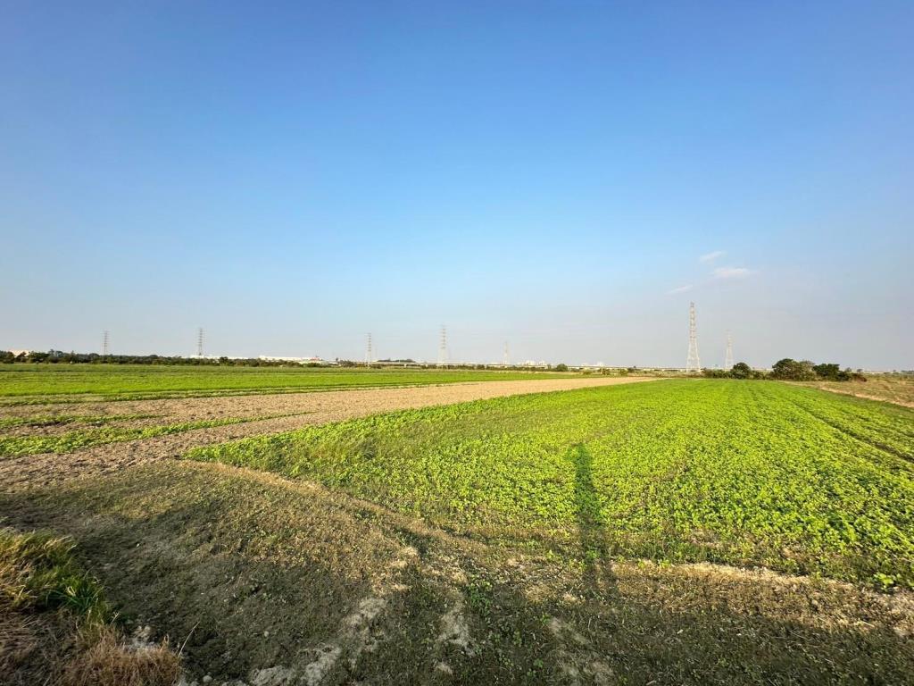 新市南科大洲3.1分增值農地