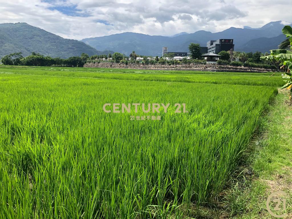 鹿鳴綺麗省道旁