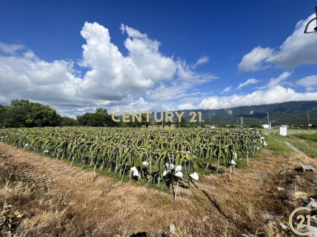 關山鎮口省道農地