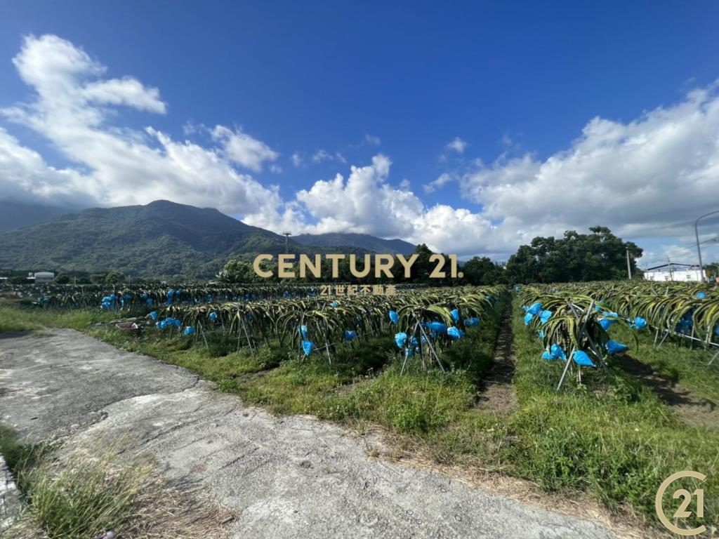 關山鎮口省道農地