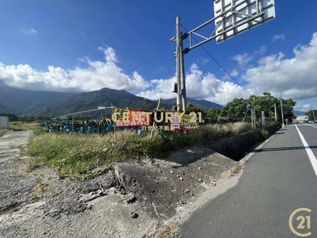 關山鎮口省道農地