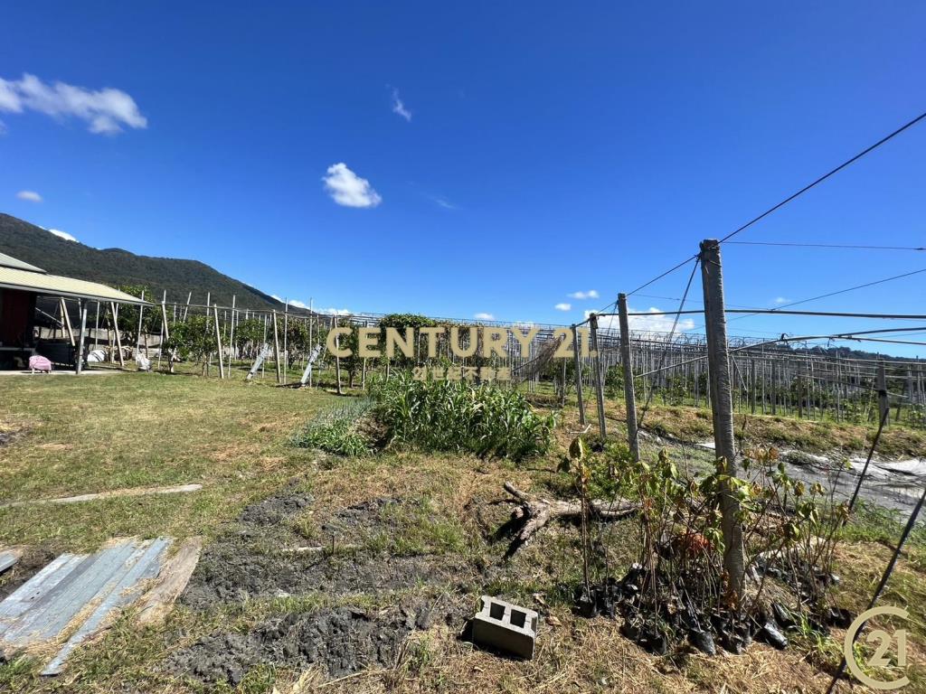 太平有資材室方正農地