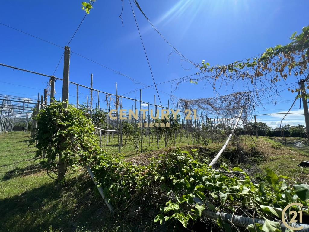 太平有資材室方正農地