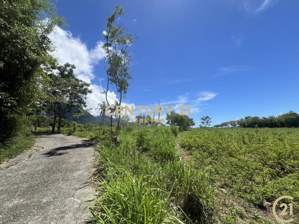 都蘭背山面海農地