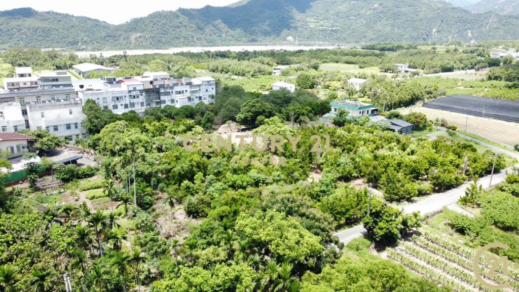 龍田霸氣大建地