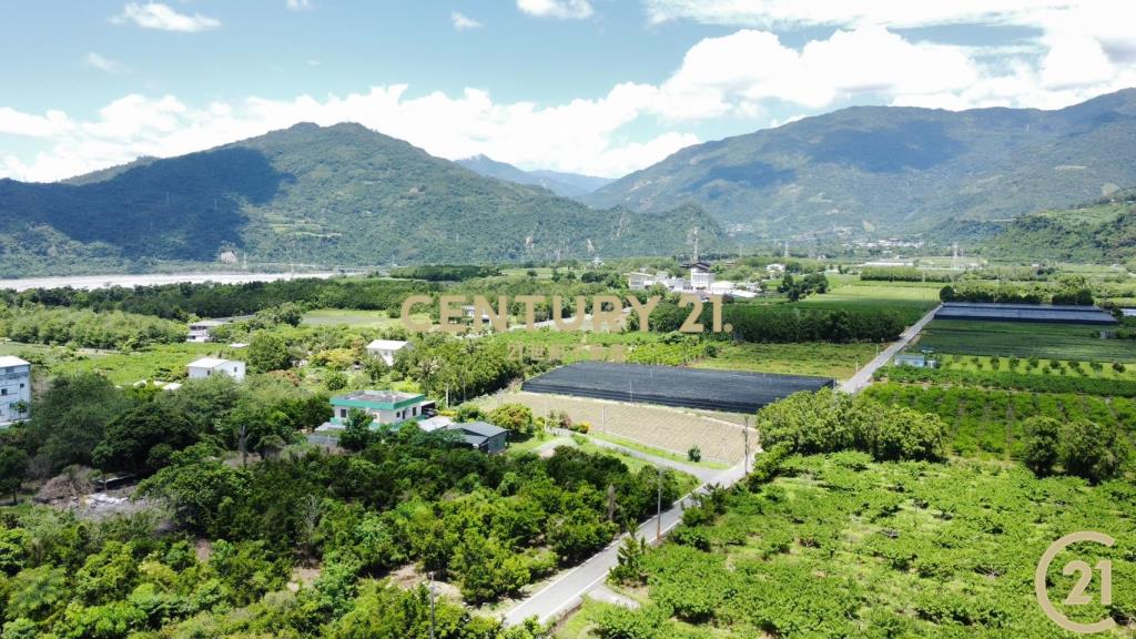 龍田霸氣大建地