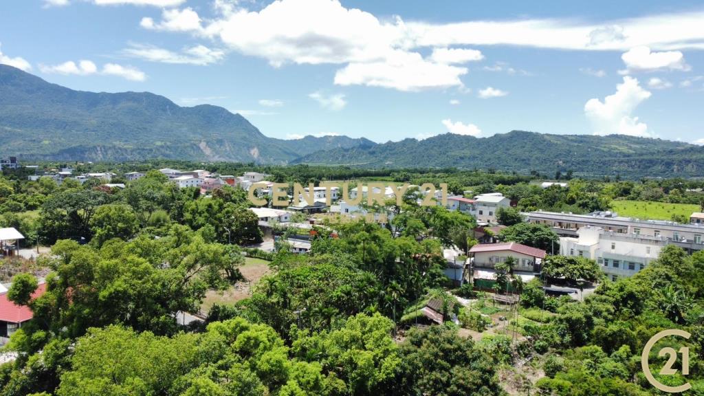 龍田霸氣大建地