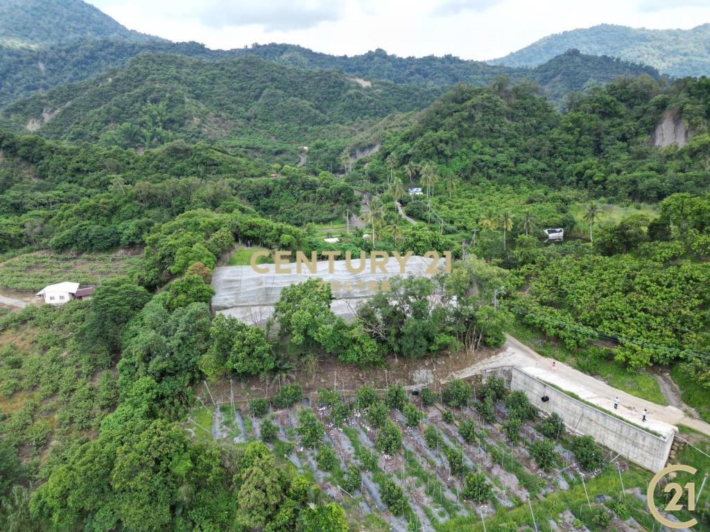 玉井芒果的故鄉農地