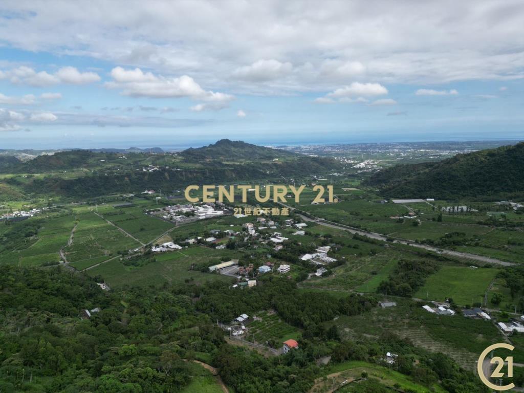 斑鳩夫妻樹旁景觀農地