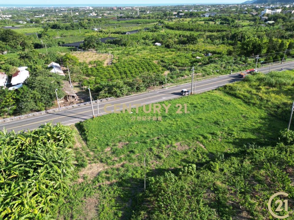 太平利民路旁農地