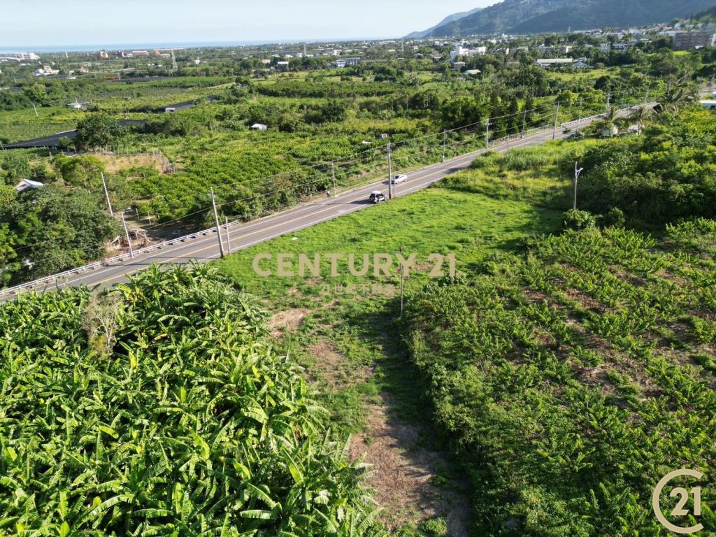 太平利民路旁農地