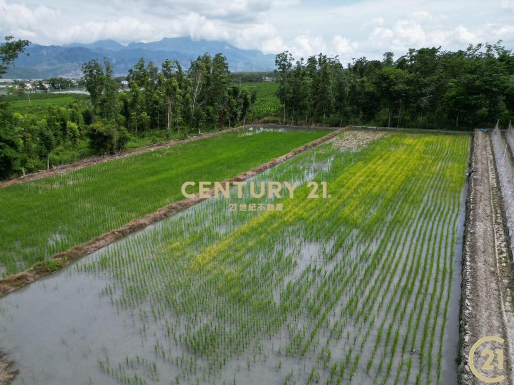 鹿野平地造林農地