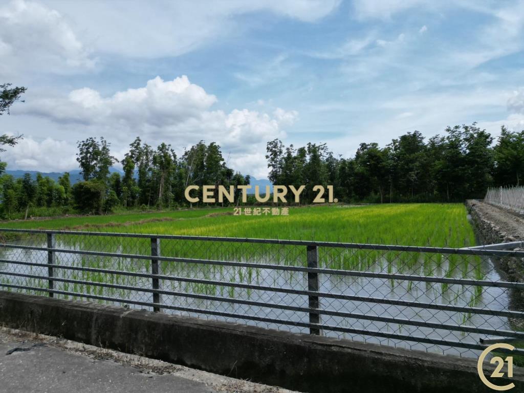 鹿野平地造林農地