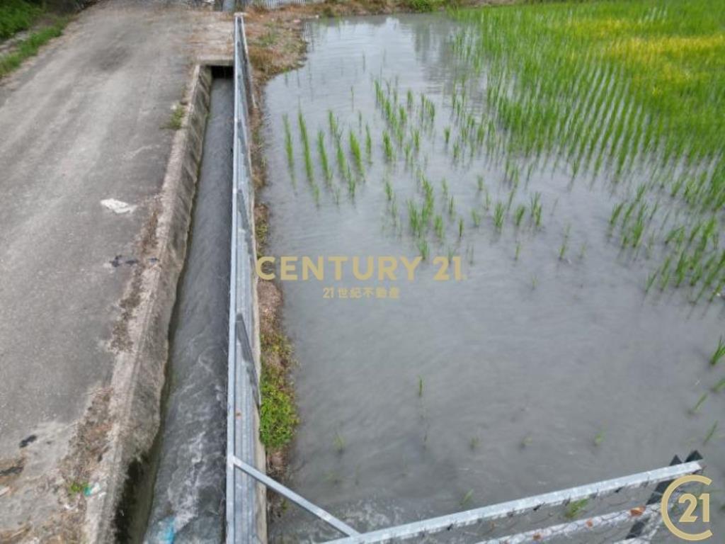 鹿野平地造林農地