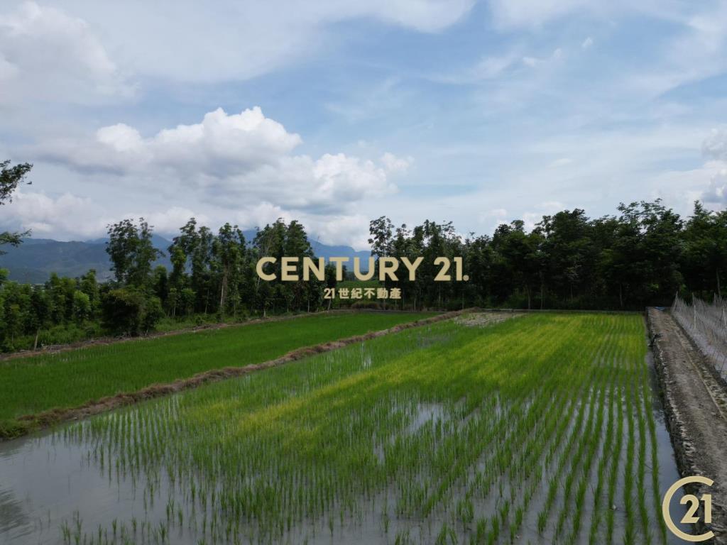 鹿野平地造林農地