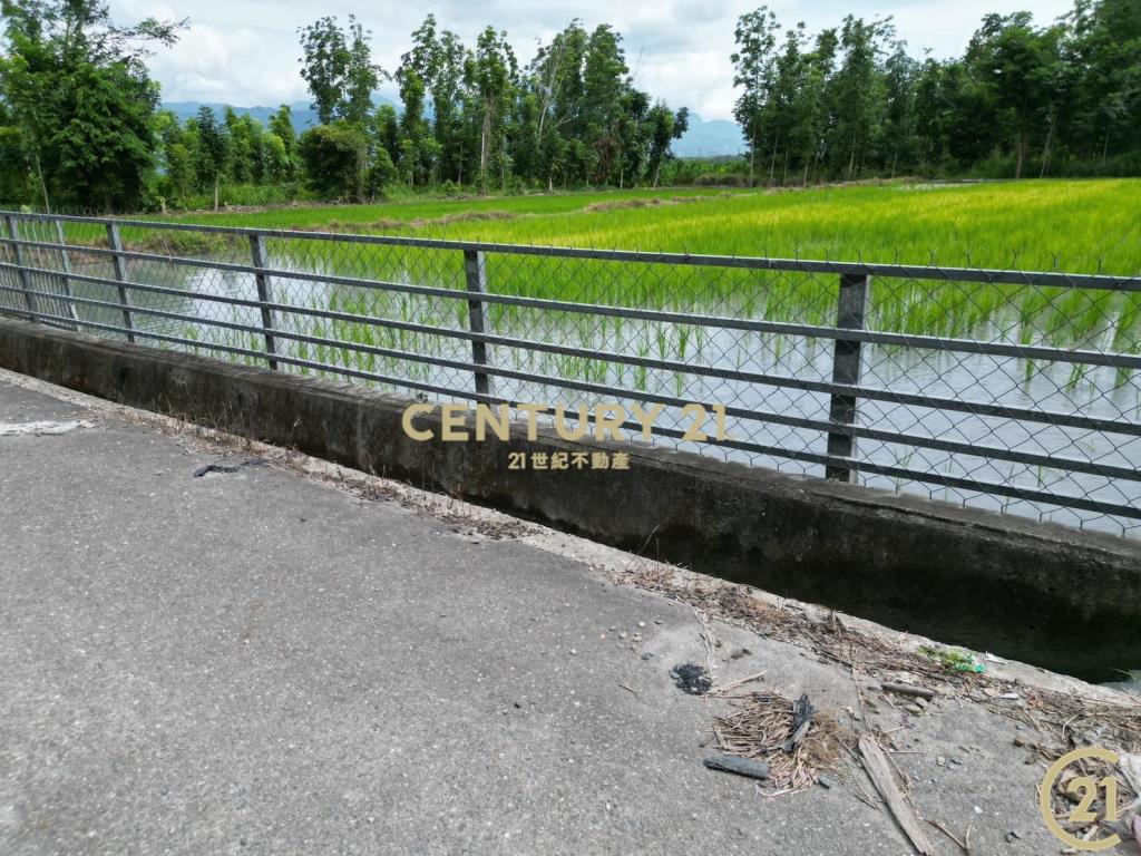 鹿野平地造林農地